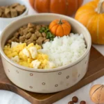 Dog bowl filled with scrambled eggs, white rice, and pumpkin.